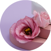 Гинекология