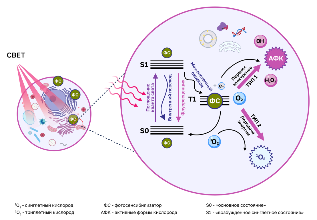 Диаграмма Яблонского